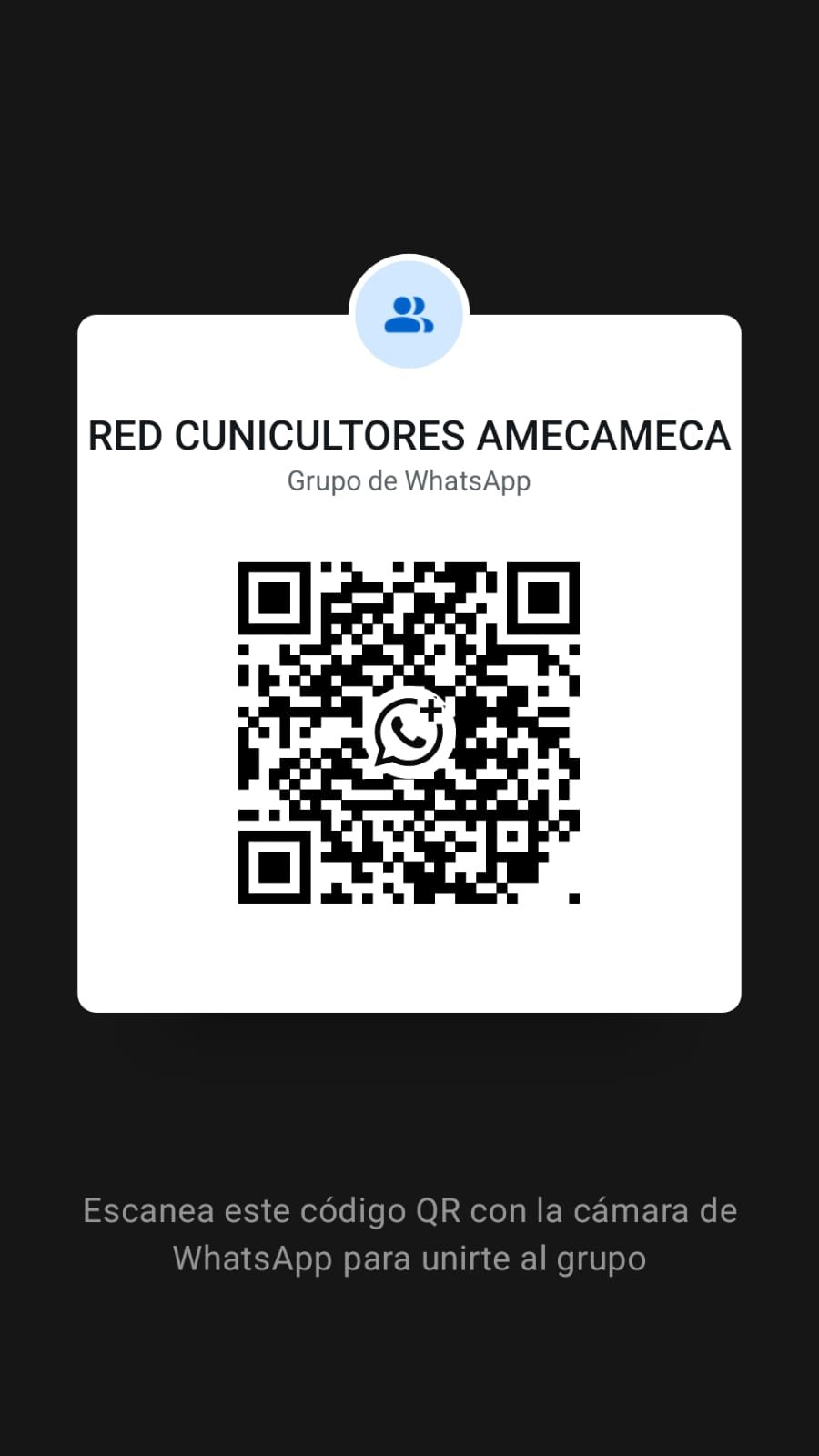 QR Chat Regional Amecameca